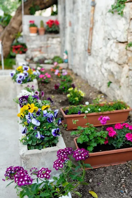 بيت ضيافة Apartment And Room Nona Stella سبليت